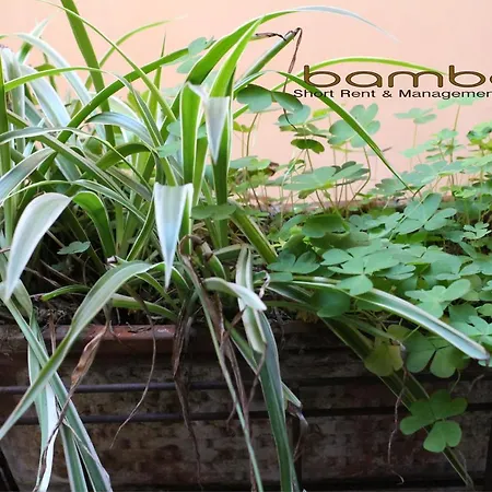 Bamboo Milano Fiori-3